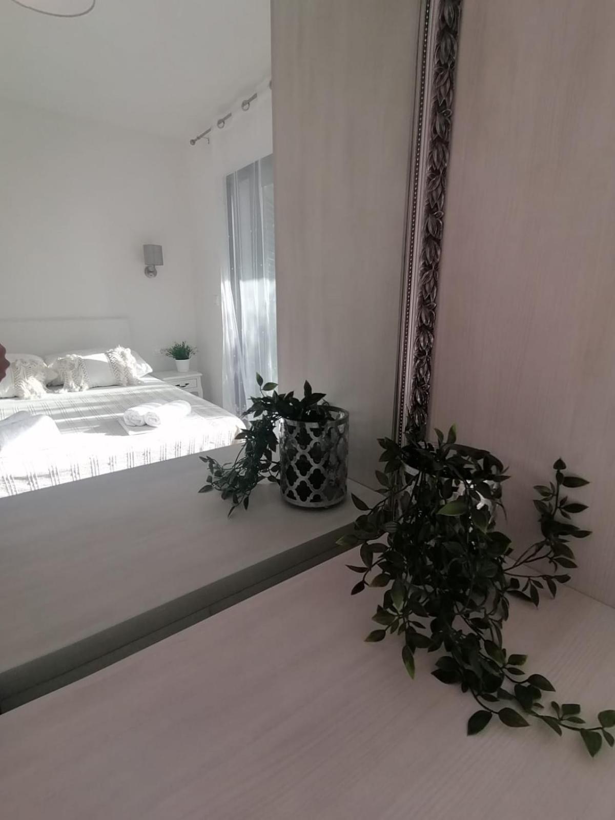 Apartmani Zoric Vodice Rum bild